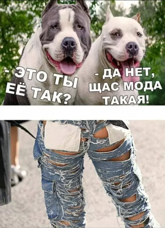 Посмеялся сам - поделись с другом!!!