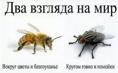 10 привычек людей с идеально чистым домом