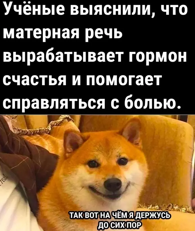 Посмеялся сам - поделись с другом!!!