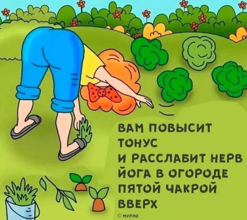 Посмеялся сам - поделись с другом!!!