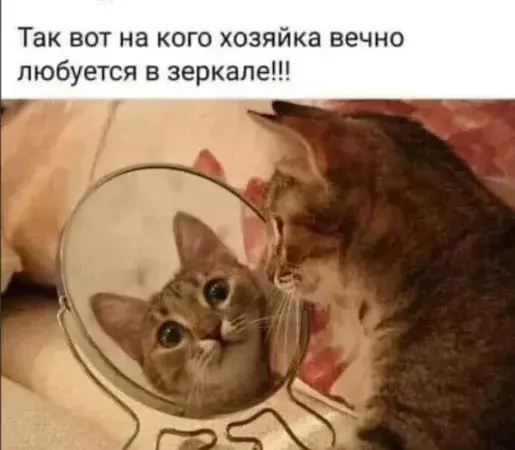 Посмеялся сам - поделись с другом!!!