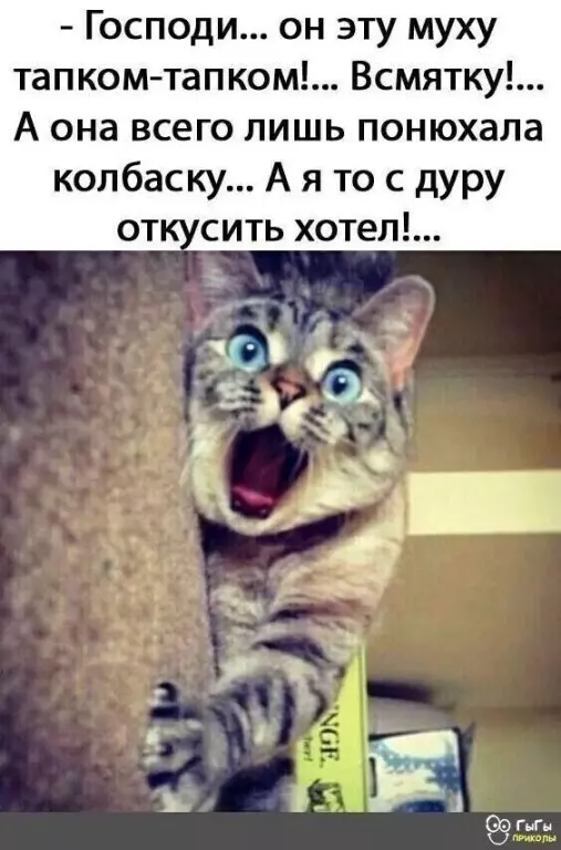 Посмеялся сам - поделись с другом!!!