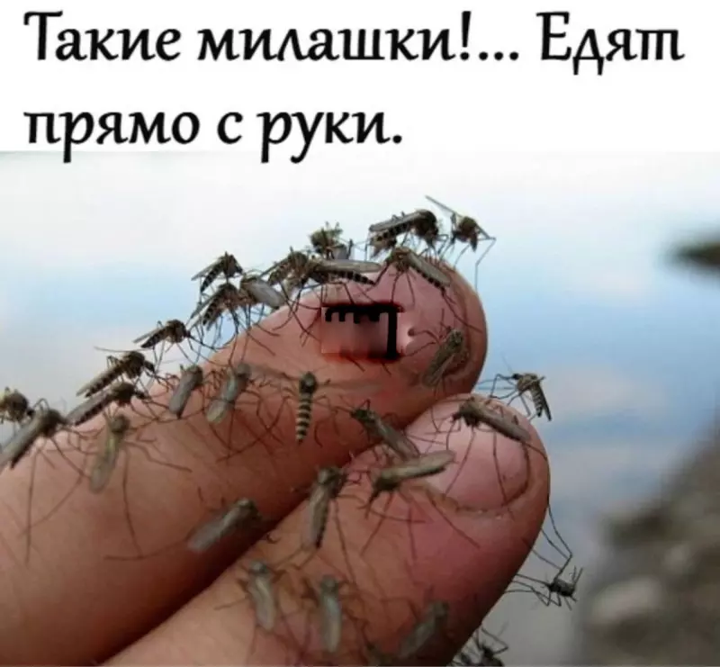 Посмеялся сам - поделись с другом!!!