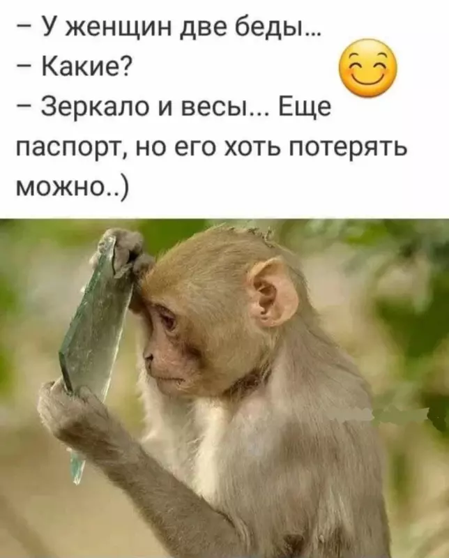Посмеялся сам - поделись с другом!!!