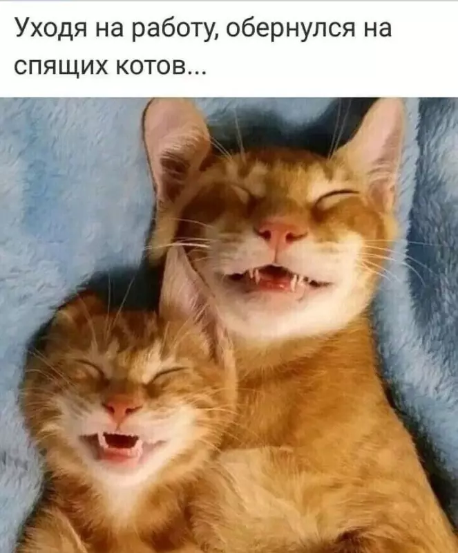 Посмеялся сам - поделись с другом!!!