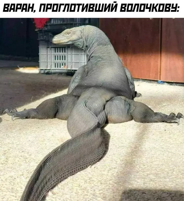 Посмеялся сам - поделись с другом!!!