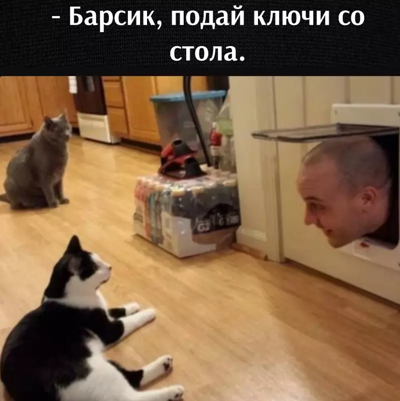 Посмеялся сам - поделись с другом!!!