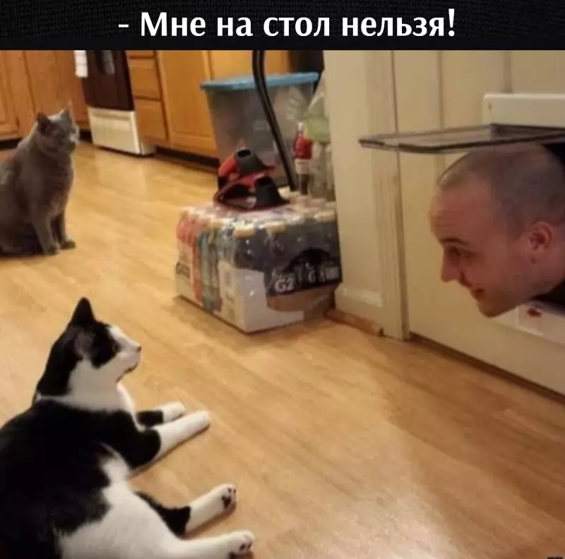 Посмеялся сам - поделись с другом!!!