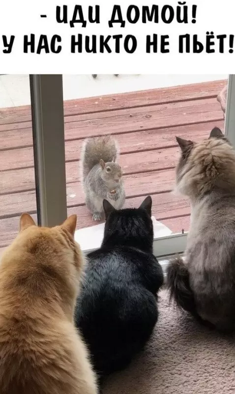 Посмеялся сам - поделись с другом!!!