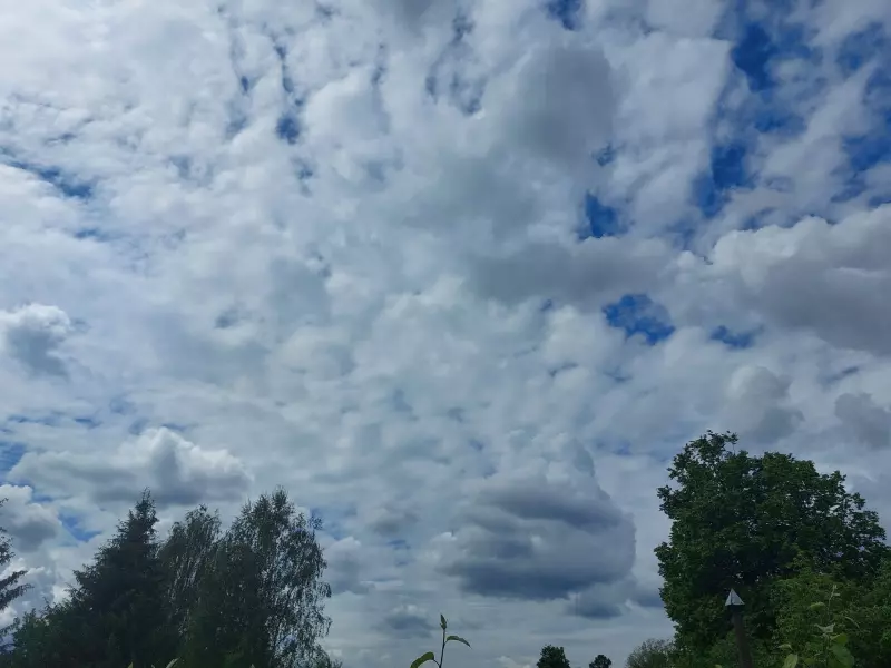 Такое разное небо