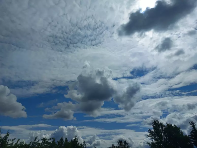 Такое разное небо