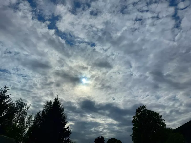 Такое разное небо