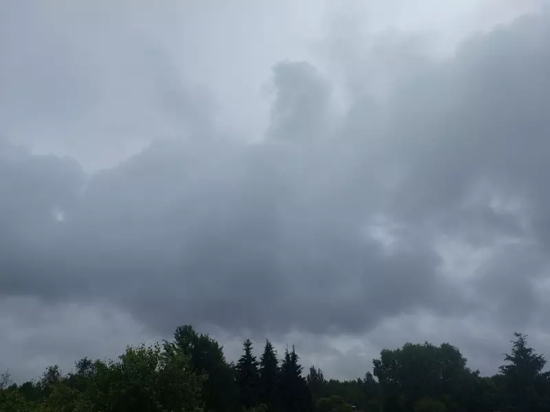 Такое разное небо