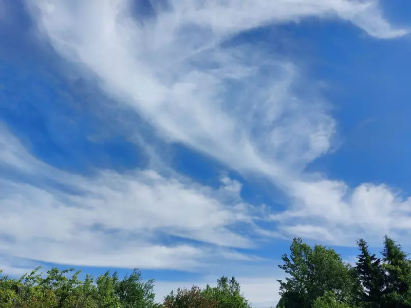 Такое разное небо