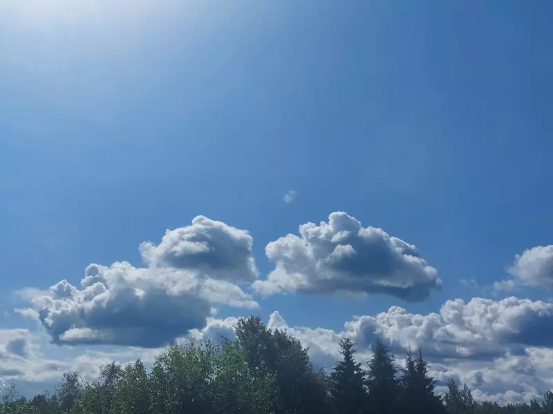 Такое разное небо