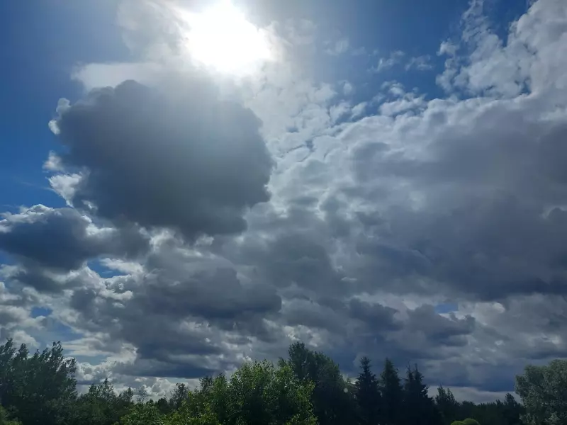 Такое разное небо