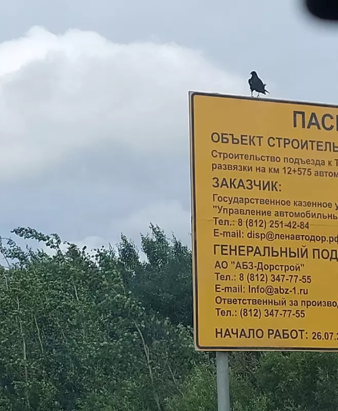 Такое разное небо