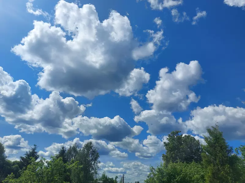 Такое разное небо