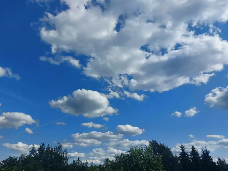 Такое разное небо