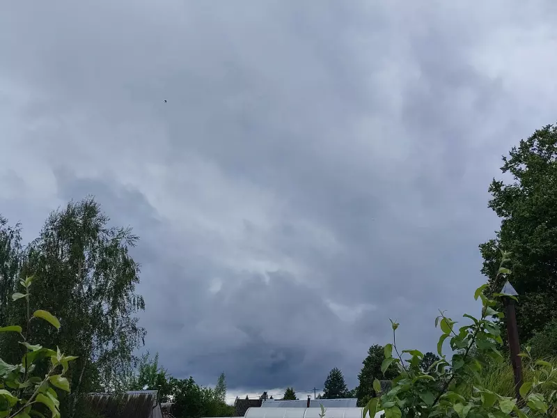 Такое разное небо