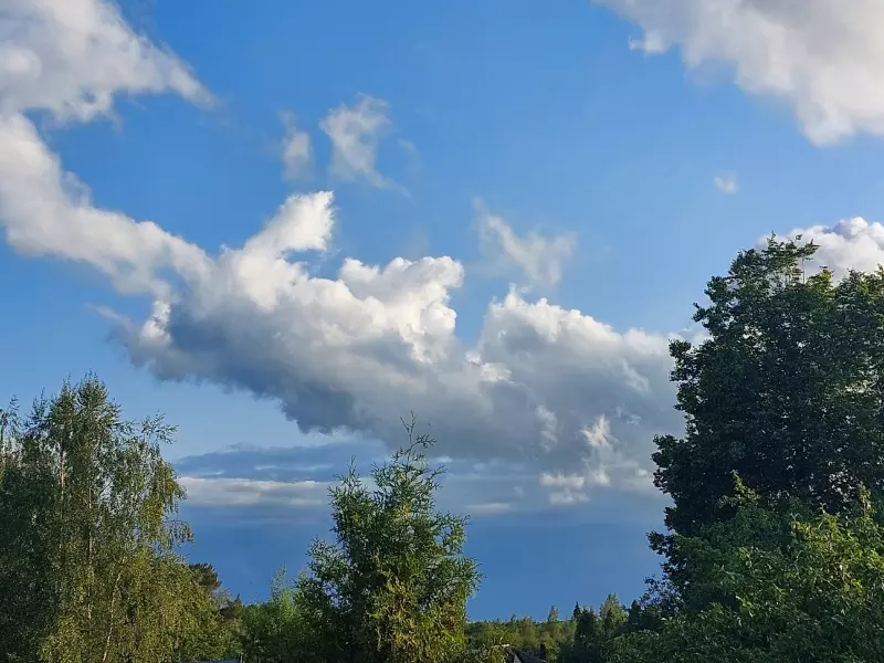 Такое разное небо