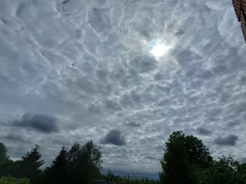 Такое разное небо