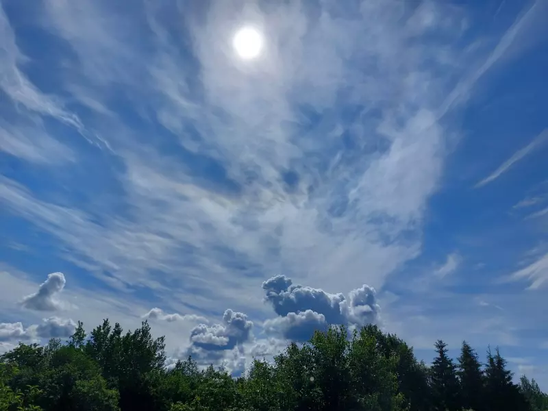 Такое разное небо