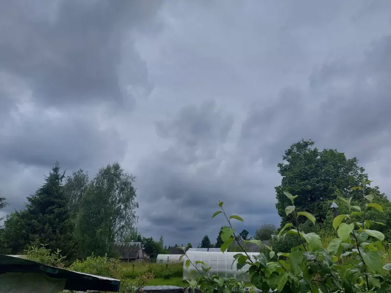 Такое разное небо