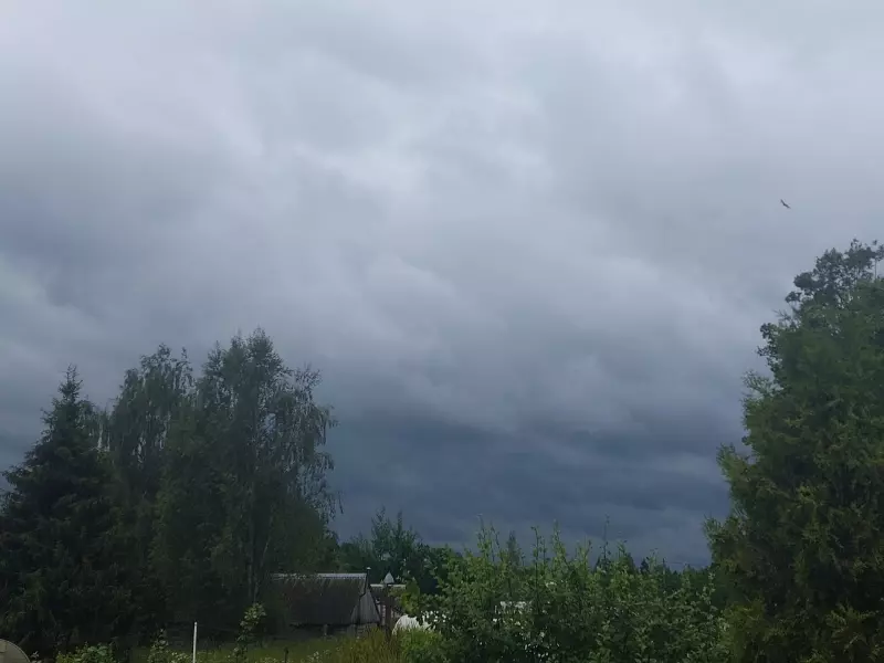 Такое разное небо