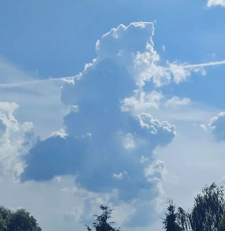 Такое разное небо