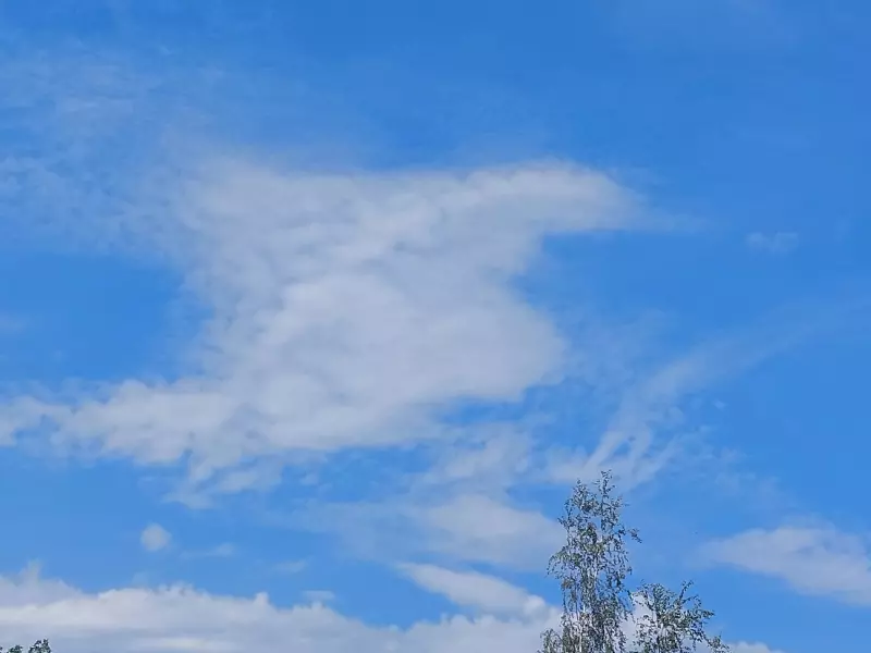 Такое разное небо