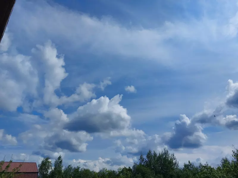 Такое разное небо