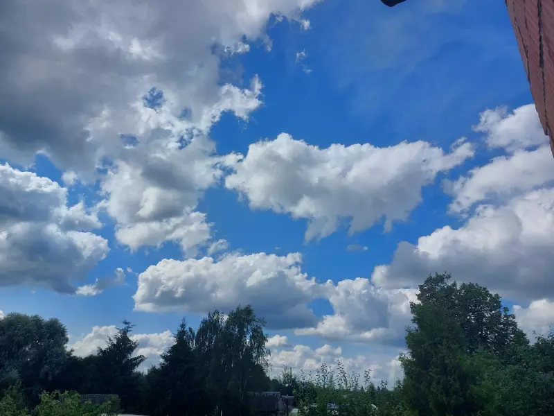 Такое разное небо