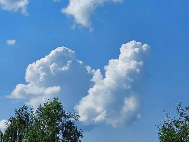 Такое разное небо