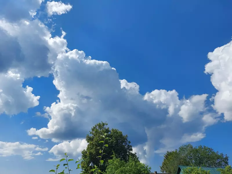 Такое разное небо