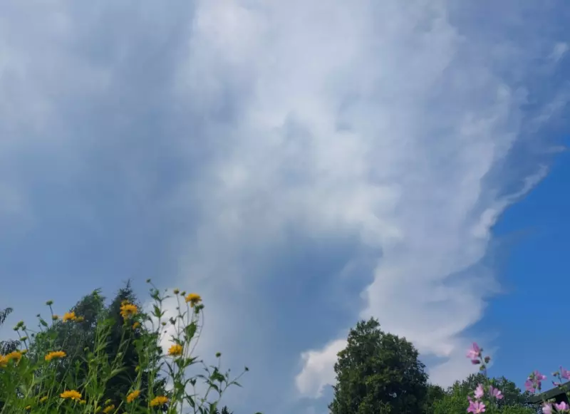 Такое разное небо