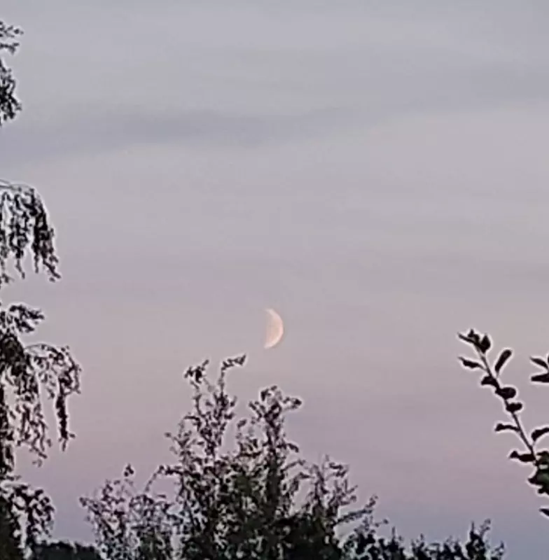 Такое разное небо