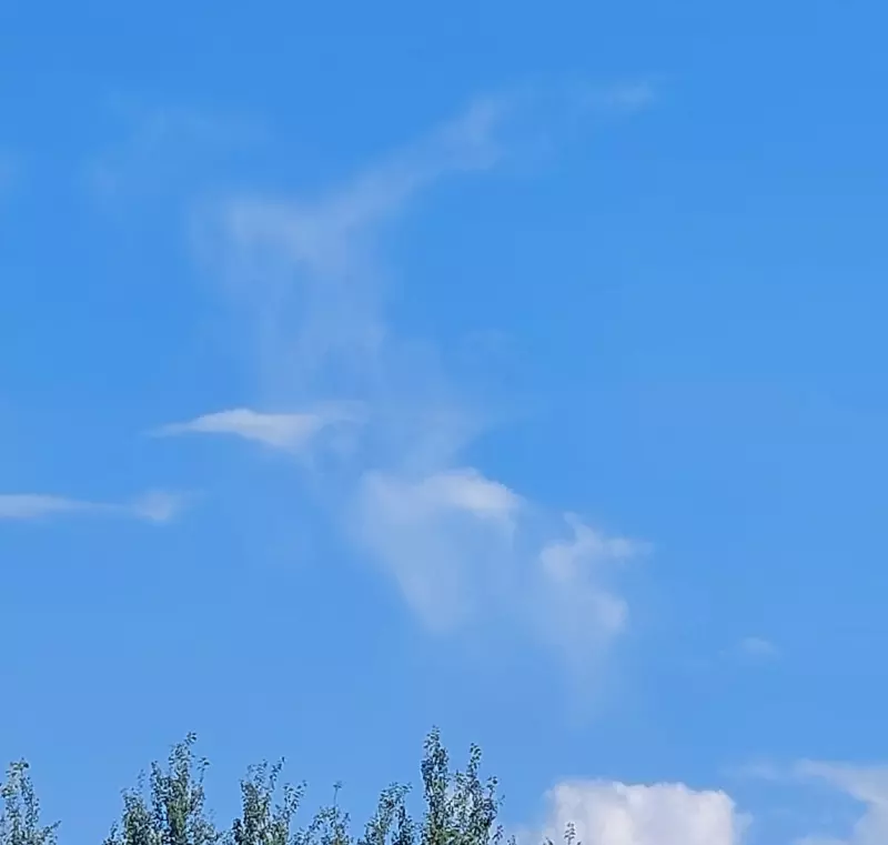 Такое разное небо