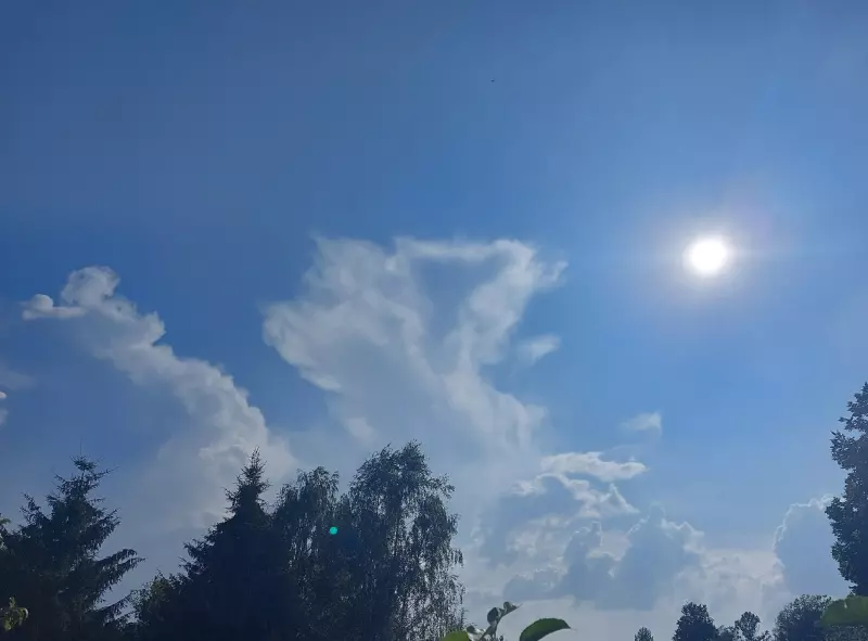 Такое разное небо