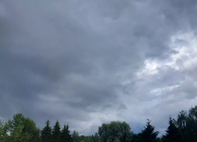 Такое разное небо