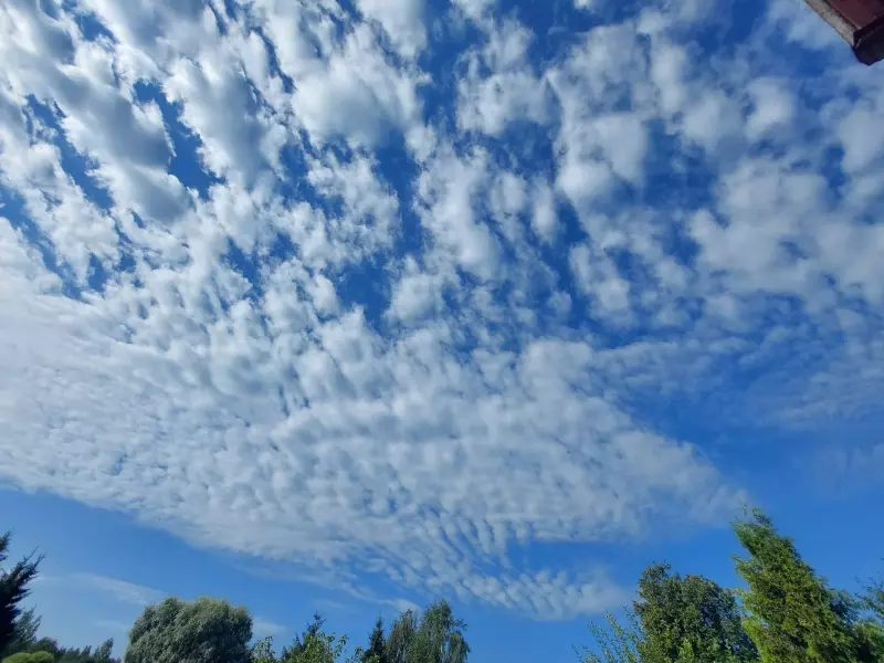 Такое разное небо