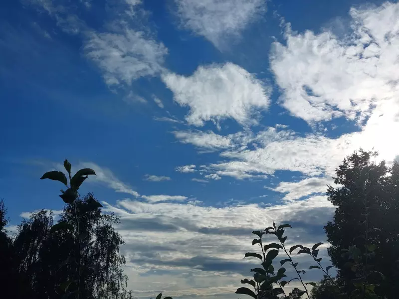 Такое разное небо