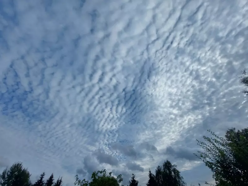 Такое разное небо