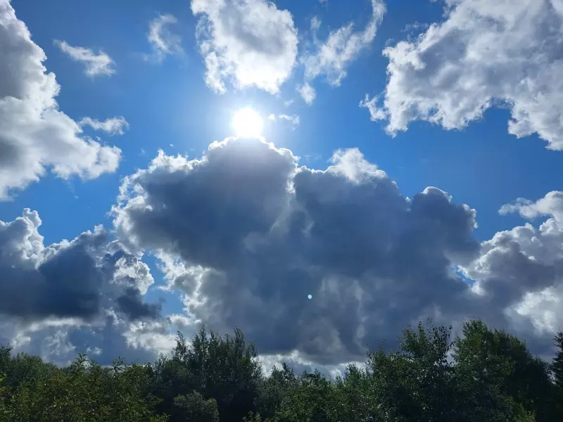 Такое разное небо