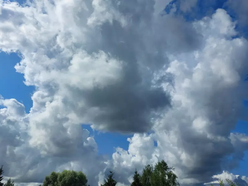 Такое разное небо