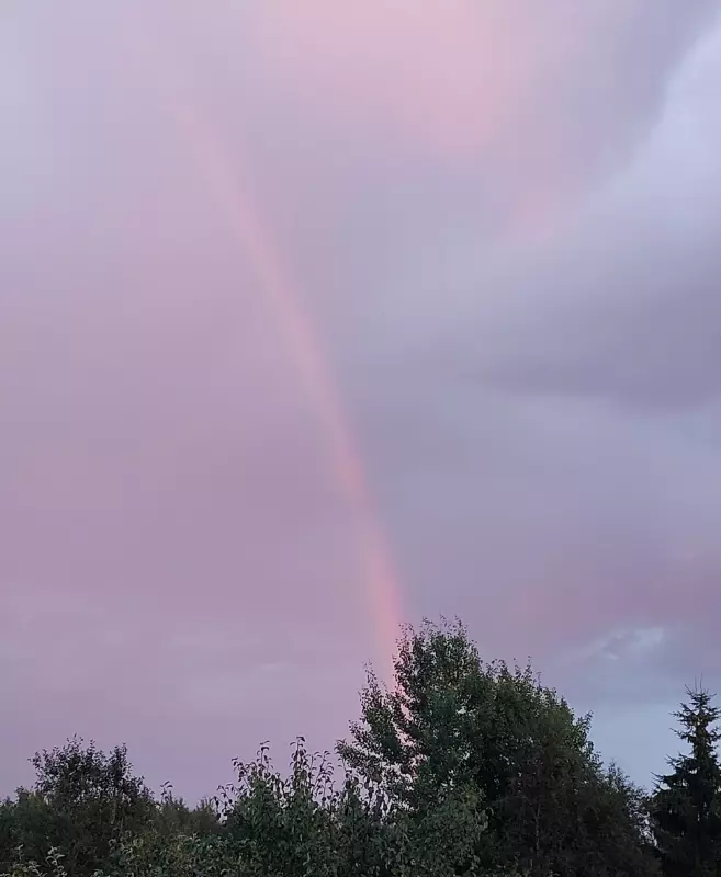 Такое разное небо