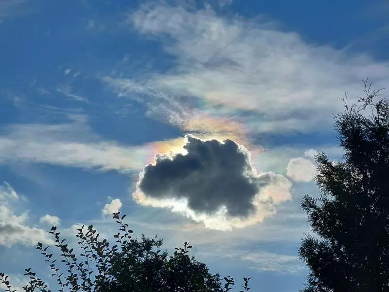 Такое разное небо