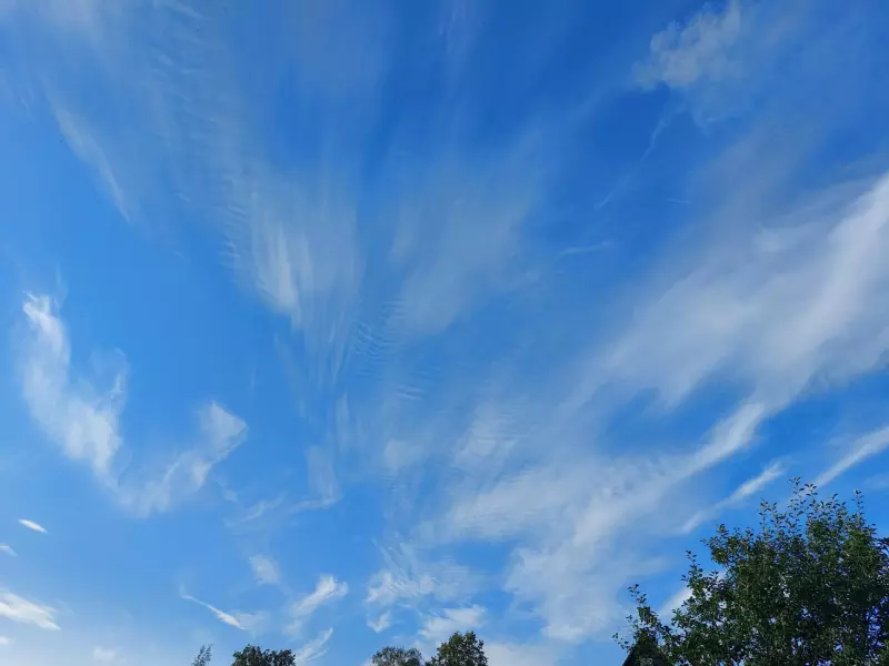 Такое разное небо