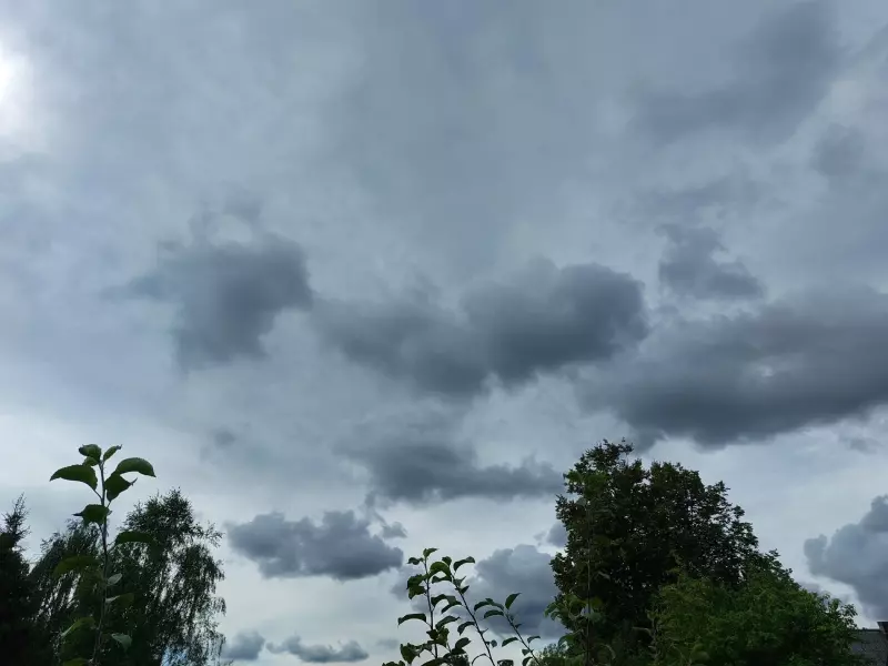 Такое разное небо