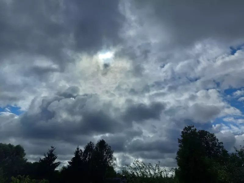 Такое разное небо